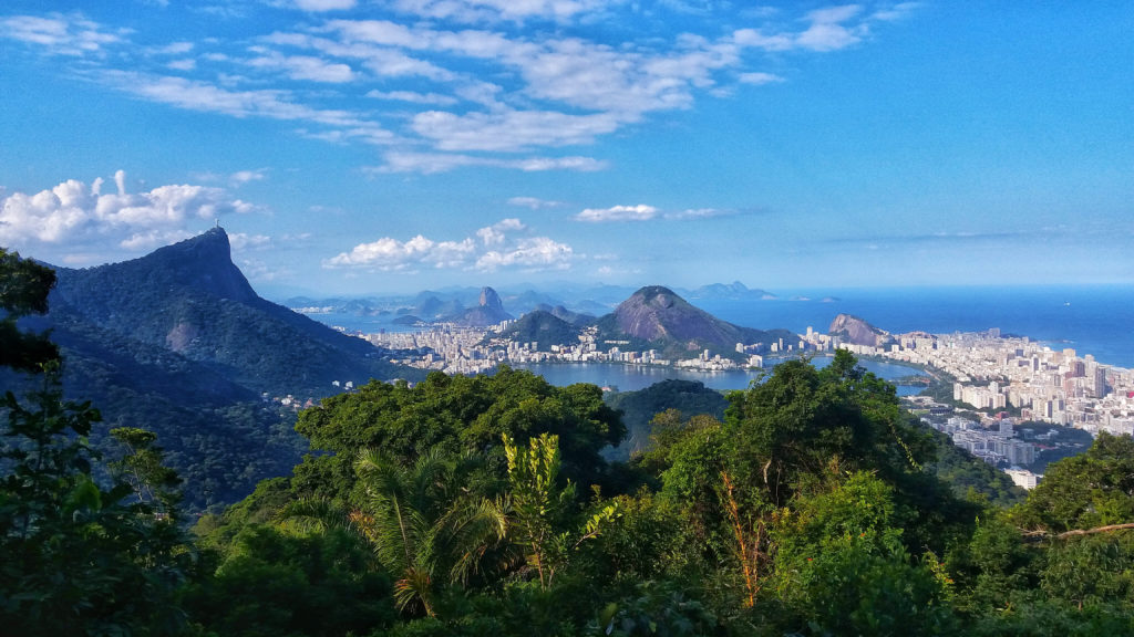 Floresta da Tijuca - Rio de Janeiro